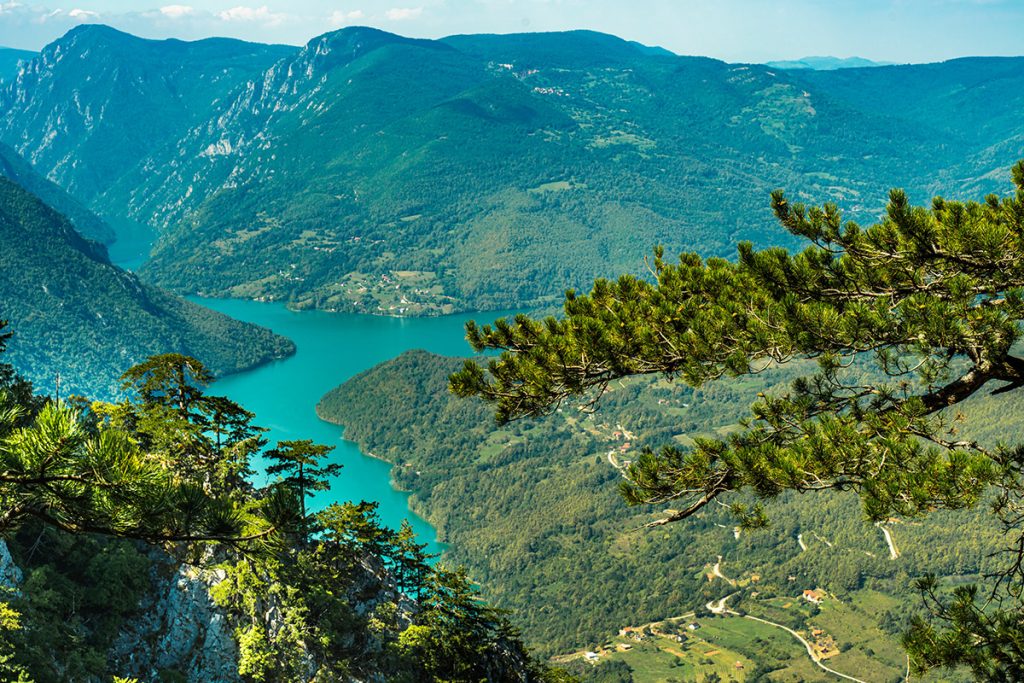 Tara Mountain: Enchanting Charms